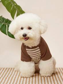 PETSIN 1 Cat Autumn And Winter Clothes Striped Clothing, French Style Teddy Bear, Versatile Base Shirt, Suitable For Winter - Brown - View 5