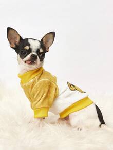 PETSIN 1 Cool Printed Brown Bear Flannel Sweatshirt, Thick And Warm For Pets In Autumn And Winter, Yellow White