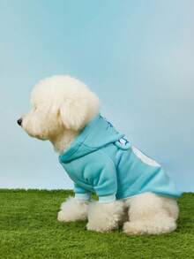 Care Bears X PETSIN 1 Pc Bedtime Bear Pet Cat Dog Universal Hoodie Cute Small Bear Printed 3 D Ear Decoration Blue Comfortable Dog Hoodie