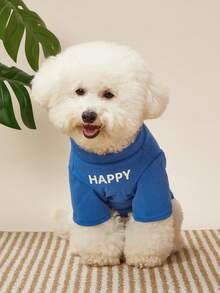 PETSIN Pet Dog Birthday Party Vest Cute Teddy T-Shirt Letter Print Puppy Clothes Yorkshire Soft Two Legs Dress No Hat - Blue - View 5