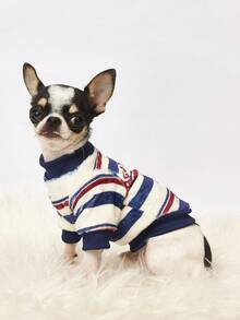 PETSIN 1 Printed Skateboard Bear Letter Flannel Sweatshirt, Thick And Warm For Pets In Autumn And Winter, Blue, White, And Red