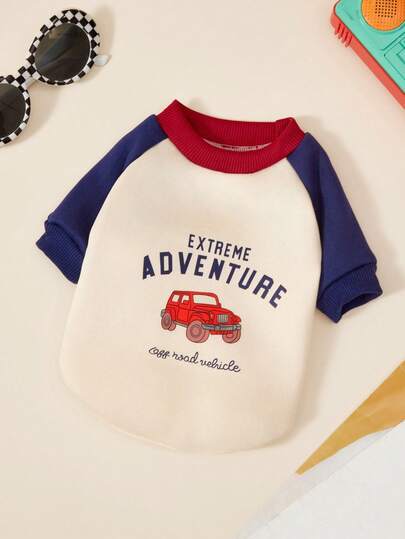 PETSIN 新款宠物秋冬季保暖内衬毛衣，撞色设计，专为雪纳瑞犬、泰迪犬和比熊犬设计，全地形保暖上衣，猫狗皆宜。