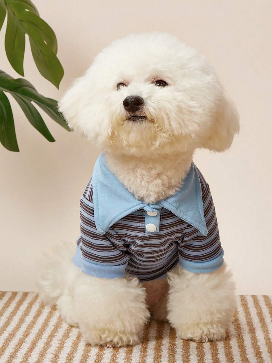 PETSIN 一件适合秋冬季狗狗穿着的条纹Polo衫，也适合短毛无毛猫穿着。