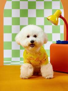 LOONEY TUNES X PETSIN 1 Cute Yellow Bird Cartoon Cute Pattern Printed Pet Cat Dog Universal Four Leg Set Elastic And Comfortable Dog Jumpsuit