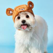 Care Bears X PETSIN 1个宠物猫狗通用棕色立体耳朵可爱卡通宠物帽 - 棕色 - 查看 4