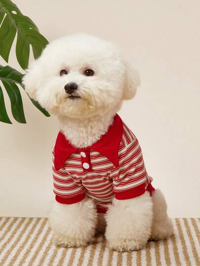 PETSIN 一件适合秋冬季狗狗穿着的条纹Polo衫，也适合短毛无毛猫穿着。