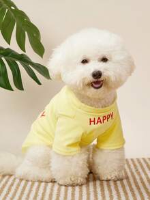 PETSIN Pet Dog Birthday Party Vest Cute Teddy T-Shirt Letter Print Puppy Clothes Yorkshire Soft Two Legs Dress No Hat - Yellow - View 4