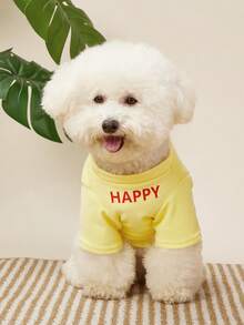 PETSIN Pet Dog Birthday Party Vest Cute Teddy T-Shirt Letter Print Puppy Clothes Yorkshire Soft Two Legs Dress No Hat - Yellow - View 6