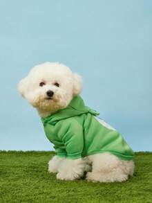 Care Bears X PETSIN 1件装爱心熊宠物连帽衫，可爱3D立体耳朵印花装饰，绿色加厚保暖舒适宠物连帽服 - 綠色 - 查看 4