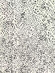 Franclia 夏季新款简约纯黑色无袖背心搭配高腰渐变波点长裙，显瘦拉长身形，适合通勤、约会、休闲场合，弹性腰带搭配同色腰带，轻盈面料，夏季必备单品，百搭时尚/优雅长裙 - 黑與白 - 查看 5