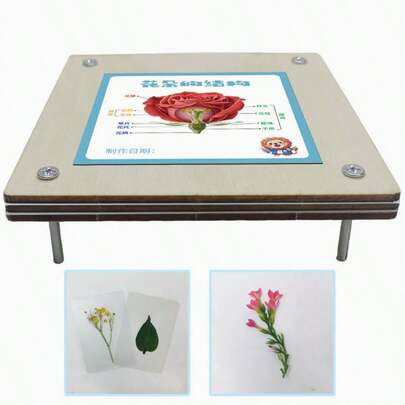 1 Peça Conjunto de Ferramentas de Flor Prensada de Madeira, Para Fazer Espécimes de Flores de Madeira, Ferramentas de Flor Prensada, Kit de Preservação de Flor Prensada DIY para Adultos, Ferramentas Artesanais. Cabide, Lápis, Garrafa de Água, Decoração de Sala de Estar, Porta-caneta, Cesta de Chuveiro, Porta-retrato, Boneca, Caixa de Armazenamento.