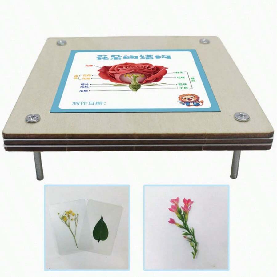 1 件套木制压花工具套装，用于制作木制花卉标本，压花工具，成人 DIY 压花保存套装，手工工具。挂钩，铅笔。水瓶，客厅装饰，笔筒，淋浴置物架，相框。玩偶。收纳盒。