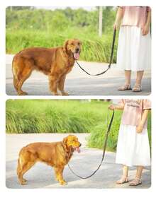 10 Ft 16 Ft 23 Ft 33 Ft Multi-Perpass Solid Color Pet Lead, Hands Free Dog Walking Lead, Sliding Tow Rope Suitable For Training, Walking, Outdoor Activities - Suitable For Pets Of Various Sizes, Black - Black - View 9