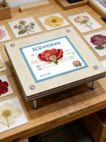 1 件套木制压花工具套装，用于制作木制花卉标本，压花工具，成人 DIY 压花保存套装，手工工具。挂钩，铅笔。水瓶，客厅装饰，笔筒，淋浴置物架，相框。玩偶。收纳盒。 - 彩色 - 查看 4