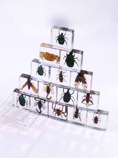 6 piezas/12 piezas Sujetalibros de resina con insectos y animales, con talla grande de 100 modelos únicos de escarabajos, arañas, escorpiones, hormigas, mariquitas, saltamontes, pulpos, mariposas, libélulas, escarabajos rinoceronte, abejas, escarabajos peloteros, luciérnagas, colección de modelos de insectos, artesanía, exhibición educativa