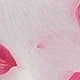 Rose bonbon