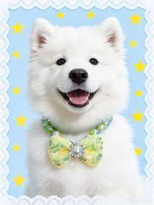 PETSIN 1 Piece Pet Bowknot Necklace; Adjustable Neck Circumference; Cat Necklace; Dog Necklace; Pet Supplies - Multicolor - View 6