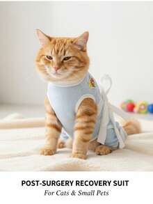 PETSIN 蓝色简约熊印花透气夏季休闲绝育服（带领带）、舒适棉质小狗哺乳服、夏季宠物专用服装 - 彩色 - 查看 4