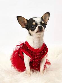 PETSIN 1 pieza Vestido de princesa con lentejuelas y malla para mascotas para el Día de San Valentín - Rojo - Ver 7