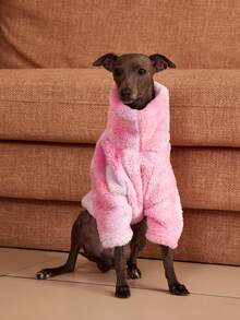 PETSIN Pawparrel 1pc Pet Autumn/Winter Double Sided Plush Elastic Comfortable Warm Fabric High Neck Dog Hoodie - Multicolor - View 3