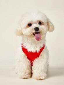 PETSIN 1pc White Letter Star Print Pet Vest, Red Skin Friendly Breathable Sports Style Pet Clothing