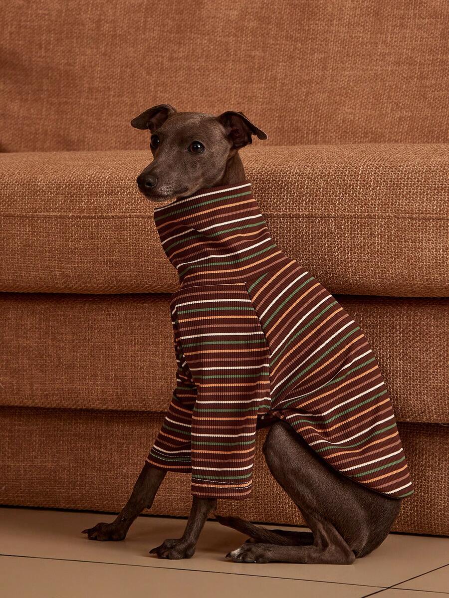 PETSIN Pawparrel Striped Long Sleeve Warm And Comfortable Sweatshirt, Autumn/Spring - Multicolor - View 1