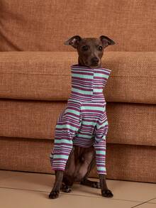 PETSIN Pawparrel Striped Long Sleeve Warm And Comfortable Sweatshirt, Autumn/Spring