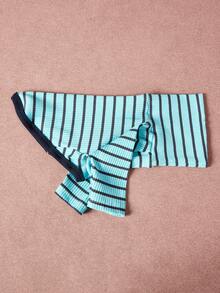 PETSIN Pawparrel Striped Long Sleeve Warm And Comfortable Sweatshirt, Autumn/Spring - Multicolor - View 7