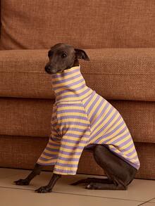 PETSIN Pawparrel Sudadera de manga larga a rayas, cálida y cómoda, para otoño/primavera - Multicolor - Ver 5