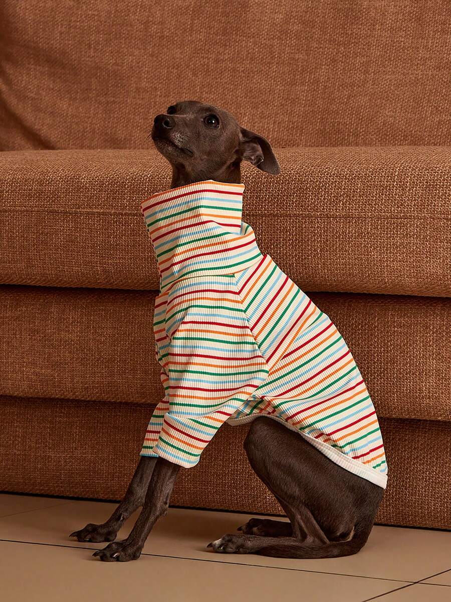 PETSIN Pawparrel Striped Long Sleeve Warm And Comfortable Sweatshirt, Autumn/Spring - Multicolor - View 1