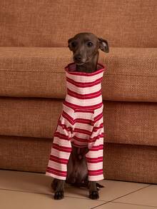 PETSIN Pawparrel Striped Long Sleeve Warm And Comfortable Sweatshirt, Autumn/Spring - Multicolor - View 5