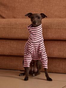 PETSIN Pawparrel Striped Long Sleeve Warm And Comfortable Sweatshirt, Autumn/Spring - Multicolor - View 2
