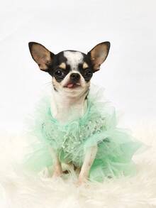 PETSIN 1pc Pet Universal Valentine's Day Sequin Mesh Princess Dress Dog Apparel - Light green - View 3