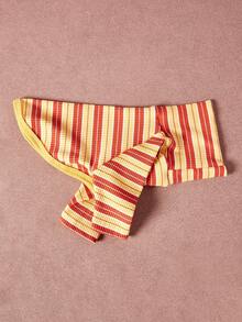 PETSIN Pawparrel Áo nỉ dài tay kẻ sọc ấm áp và thoải mái, mùa thu/xuân - Nhiều màu - Xem 5