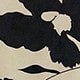 彩色
