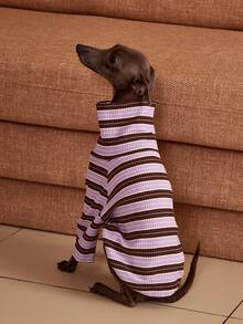 PETSIN Pawparrel Striped Long Sleeve Warm And Comfortable Sweatshirt, Autumn/Spring - Multicolor - View 2