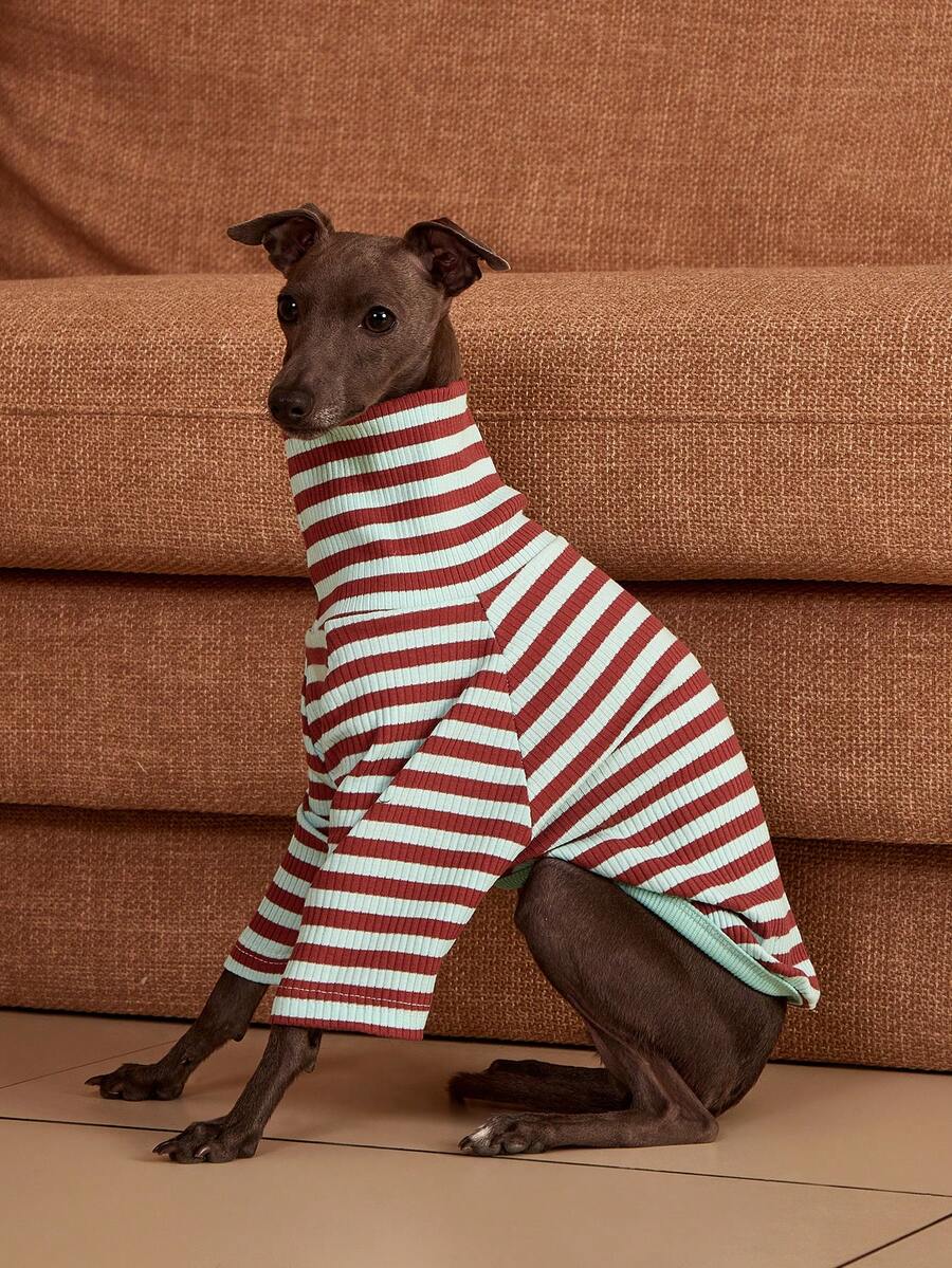PETSIN Pawparrel Striped Long Sleeve Warm And Comfortable Sweatshirt, Autumn/Spring - Multicolor - View 1