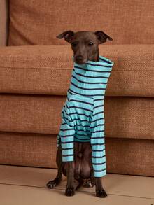 PETSIN Pawparrel Striped Long Sleeve Warm And Comfortable Sweatshirt, Autumn/Spring - Multicolor - View 3