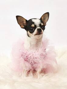 PETSIN 1pc Pet Universal Valentine's Day Sequin Mesh Princess Dress Dog Apparel