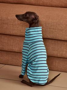 PETSIN Pawparrel Striped Long Sleeve Warm And Comfortable Sweatshirt, Autumn/Spring - Multicolor - View 4