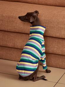 PETSIN Pawparrel Sudadera de manga larga a rayas, cálida y cómoda, para otoño/primavera - Multicolor - Ver 4