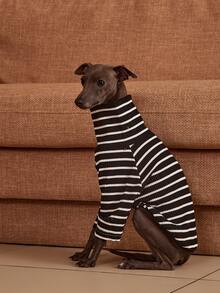 PETSIN Pawparrel Striped Long Sleeve Warm And Comfortable Sweatshirt, Autumn/Spring - Multicolor - View 6