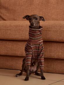 PETSIN Pawparrel Striped Long Sleeve Warm And Comfortable Sweatshirt, Autumn/Spring - Multicolor - View 6