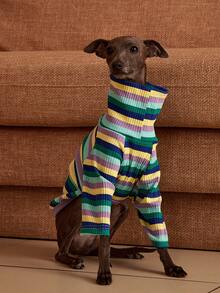 PETSIN Pawparrel Sudadera de manga larga a rayas, cálida y cómoda, para otoño/primavera - Multicolor - Ver 2