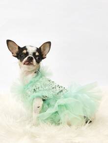 PETSIN 1pc Pet Universal Valentine's Day Sequin Mesh Princess Dress Dog Apparel - Light green - View 4