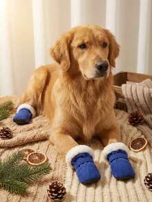 PETSIN Cute Dog Shoes Winter New Candy Color Series, Thermal Lined Thickened Warm Dog Boots, Soft-Soled Pet Shoes For Teddy Small Dogs, Anti-Slip Comfortable Dog Footwear - Blue - View 3