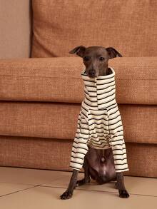 PETSIN Pawparrel Striped Long Sleeve Warm And Comfortable Sweatshirt, Autumn/Spring