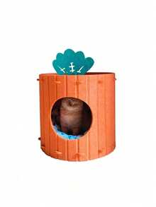 PETSIN 1 件大号 40x40 小号 30x40 尺寸半封闭双层设计透气易清洁提供安全舒适的空间可爱的胡萝卜图案橙色毛毡猫床宠物窝非常适合猫爱好者作为生日礼物适合室内家庭办公室四季使用猫洞舒适的藏身处宠物家具