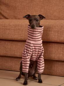 PETSIN Pawparrel Striped Long Sleeve Warm And Comfortable Sweatshirt, Autumn/Spring - Multicolor - View 2