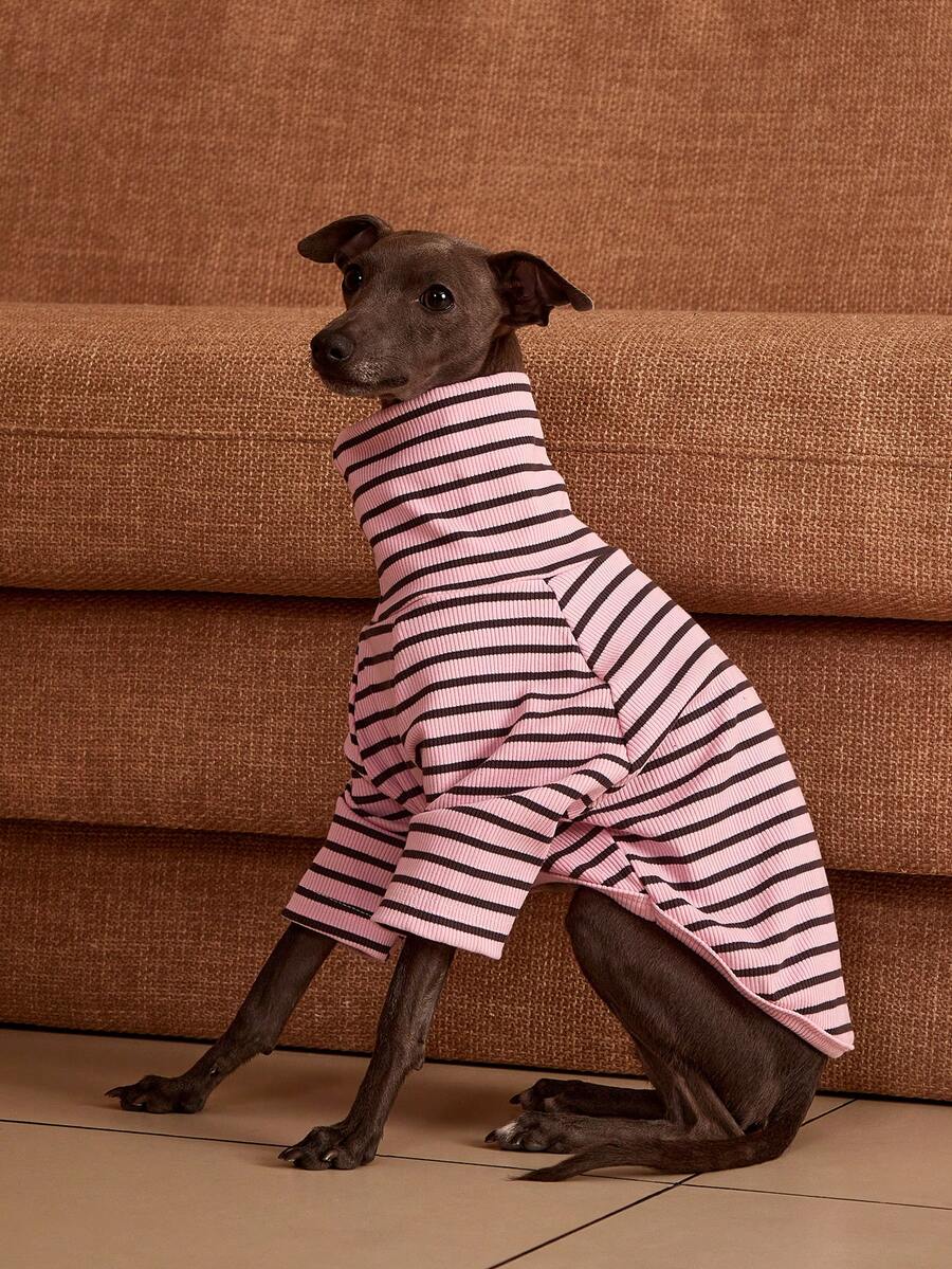 PETSIN Pawparrel Striped Long Sleeve Warm And Comfortable Sweatshirt, Autumn/Spring - Multicolor - View 1